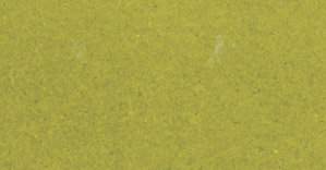 Yellow-green swatch
